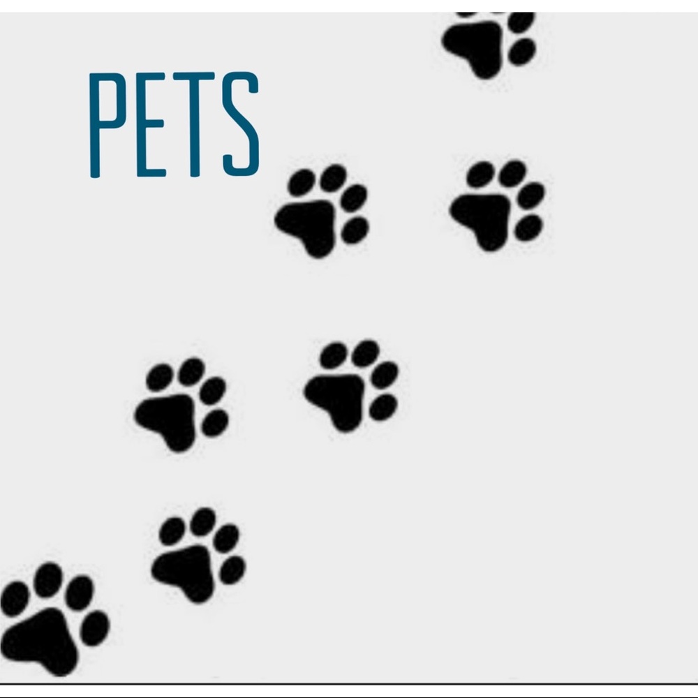 NEW Pet items!